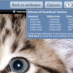 Descarga wallpapers gratis y a la medida en Desktop Nexus