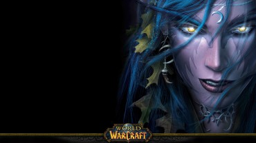 Word of Warcraft (11)